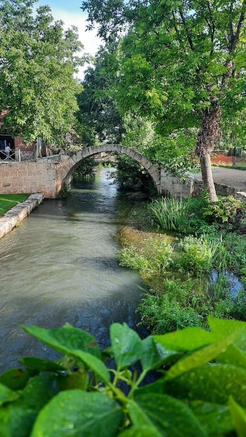 卡拉莫查Aromas Del Jiloca, Tierra De Trufas公寓 外观 照片