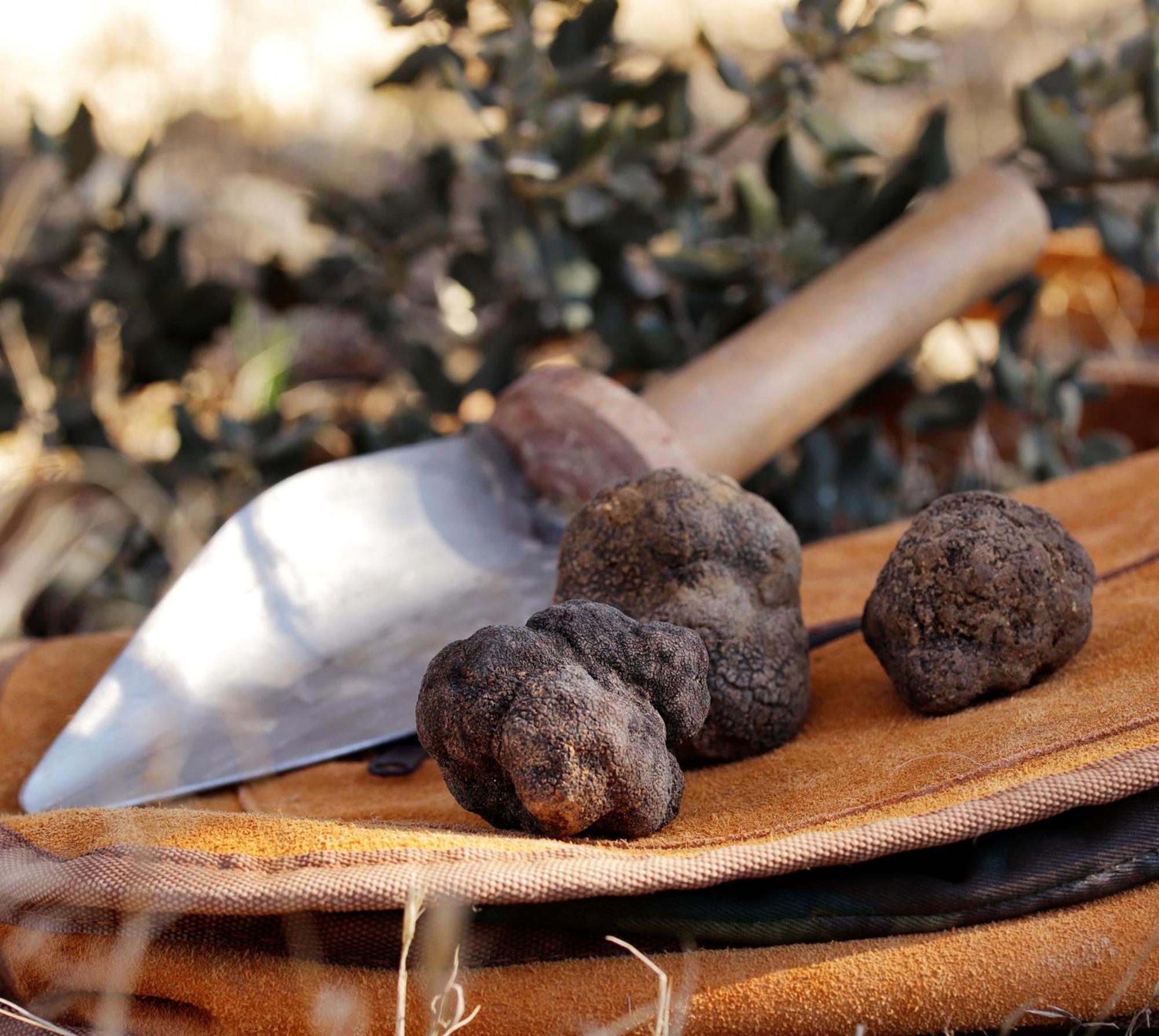 卡拉莫查Aromas Del Jiloca, Tierra De Trufas公寓 外观 照片